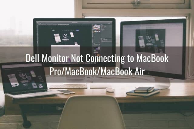 Dell Monitor Not Connecting to Laptop/Mac/PC - Ready To DIY