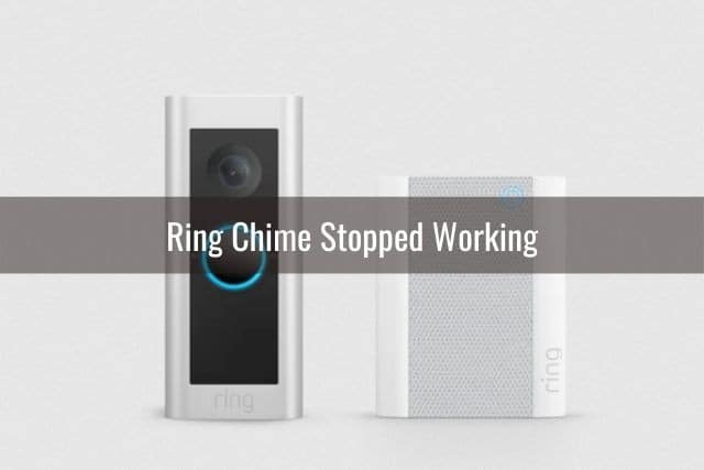 Video doorbell camera and chime