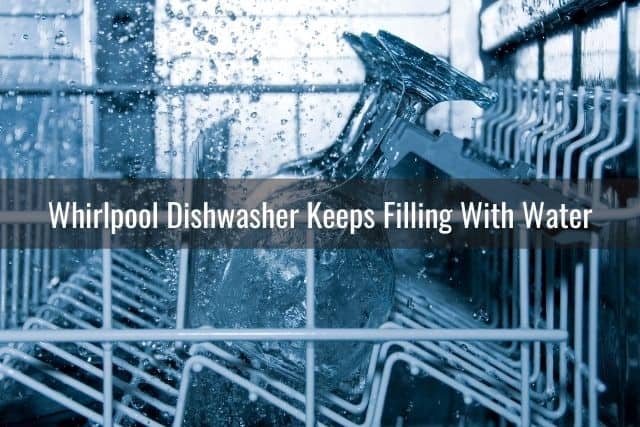 Dishwasher top rack water spray