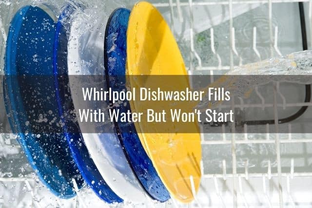 Water spraying onto dishes inside dishwasher