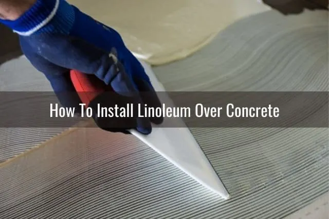 Linoleum glue floor installation