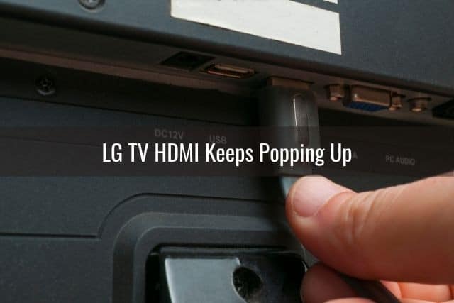 TV back panel HDMI port