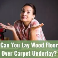 Confused female carpenter