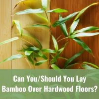 Bamboo plant in front of bamboo flooring