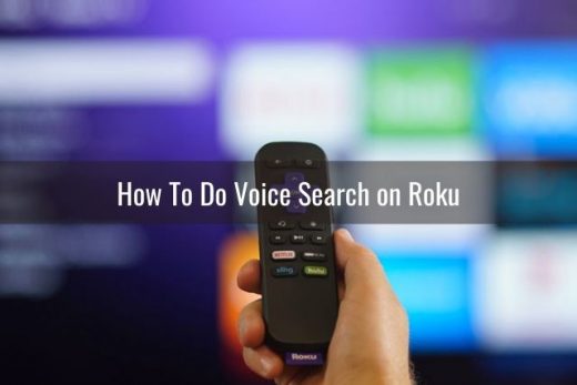 Roku Remote Voice Command Not Working (How To Enable ...