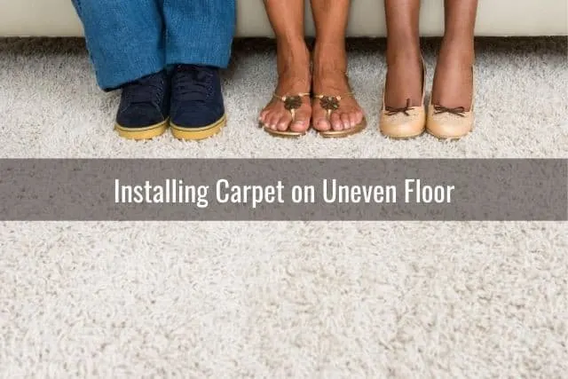 Feet on carpet floor