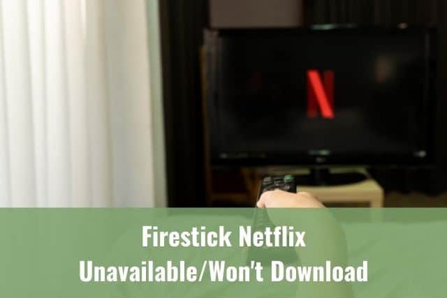 Netflix app loading on TV
