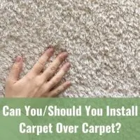 Hand touching carpet