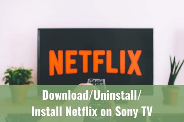 Netflix logo loading on TV