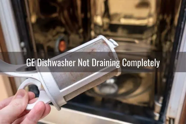 Dishwasher drain clog