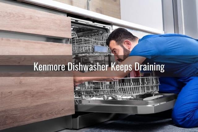 Profile view of dishwasher repairman