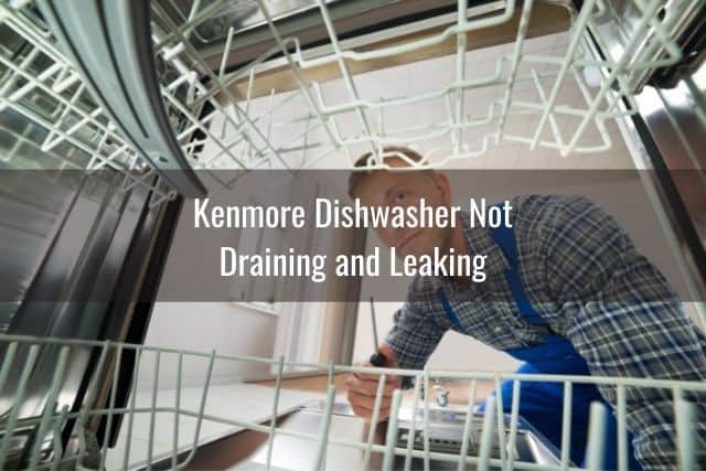 Repairman looking inside dishwasher