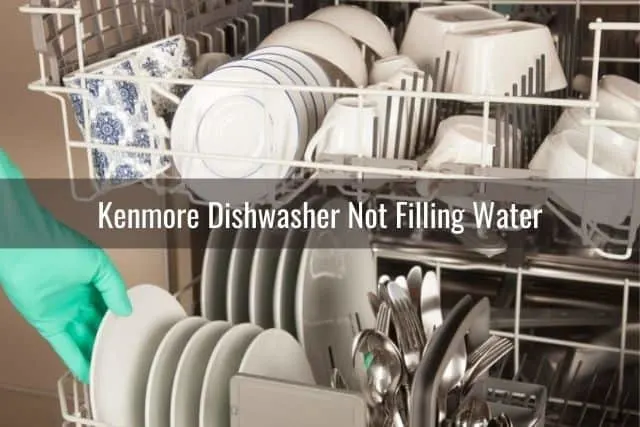 Clean plates and bowls in dishwasher