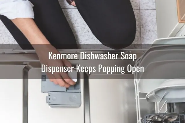Female dropping soap into dishwasher soap compartment