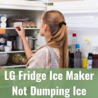 Female checking food in refrigerator freezer