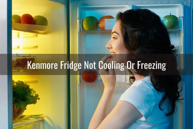 woman looking at the fridge