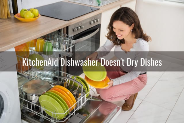 Putting the plates in the Dishwasher