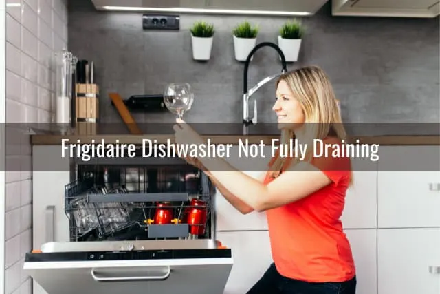 Woman holding wine glass in the dishwasher