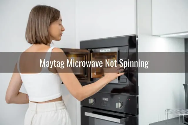 woman putting food inside the microwave