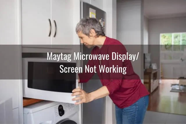 woman putting food inside the microwave