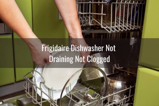 Woman putting plates in the dishwasher