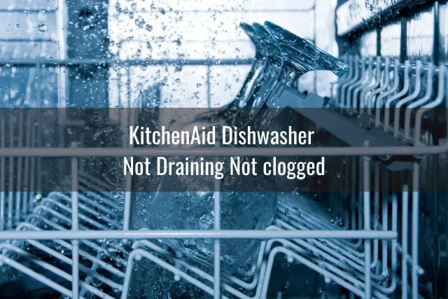 inside of the dishwasher