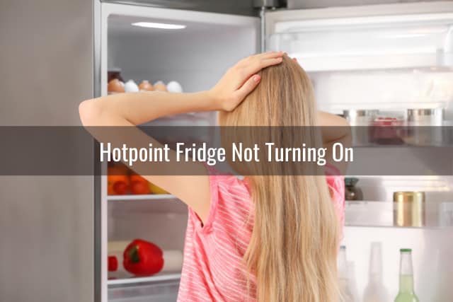 Woman checking at the fridge