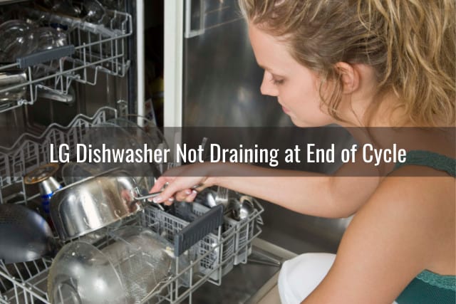 Woman Putting plates in dishwasher