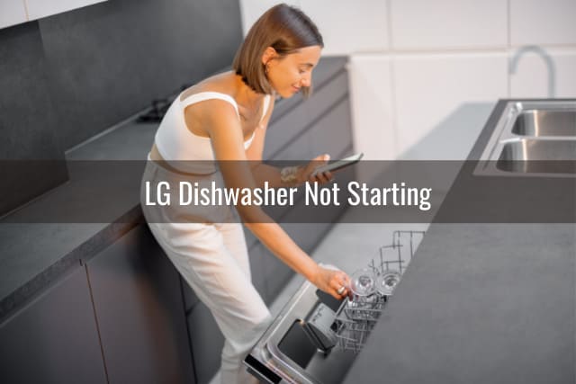 Woman taking picture in dishwasher