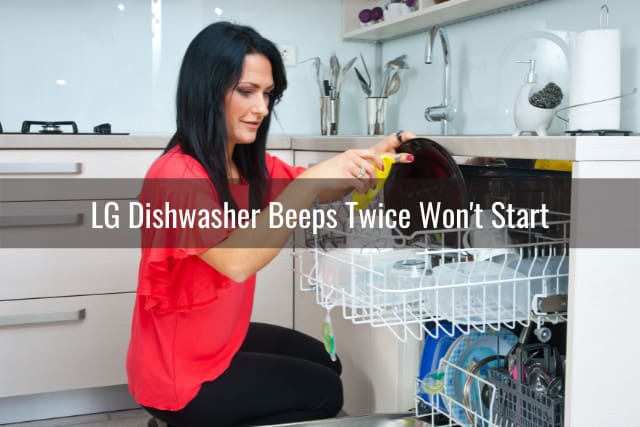 checking the plates in dishwasher