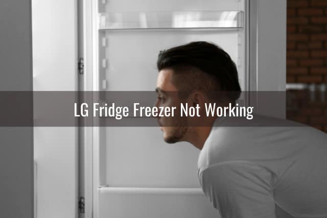 Man checking the inside of the fridge