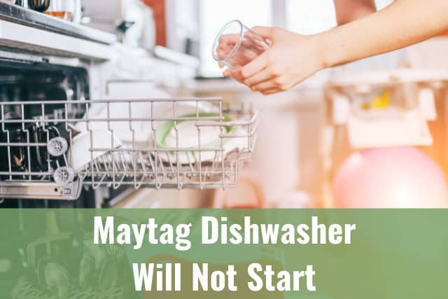 Putting cups in dishwasher