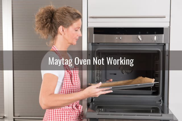 Woman cooking in the oven