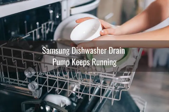Holding a plate in dishwasher