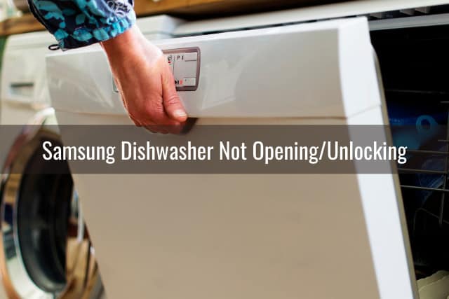 Woman opening the dishwasher