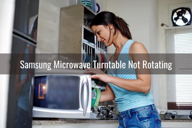 Woman putting the food in the microwave