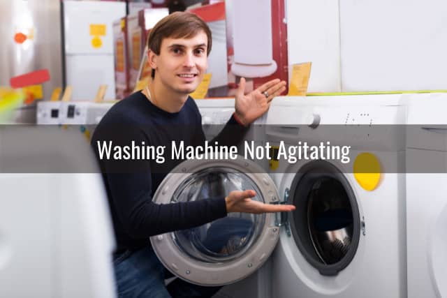 Man showing the washing machine