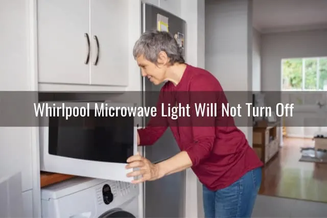 Woman putting food in the microwave