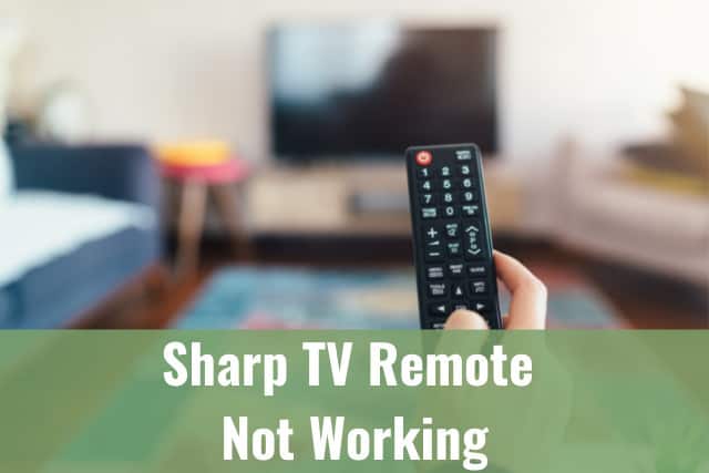Man holding a remote while pointing at the TV