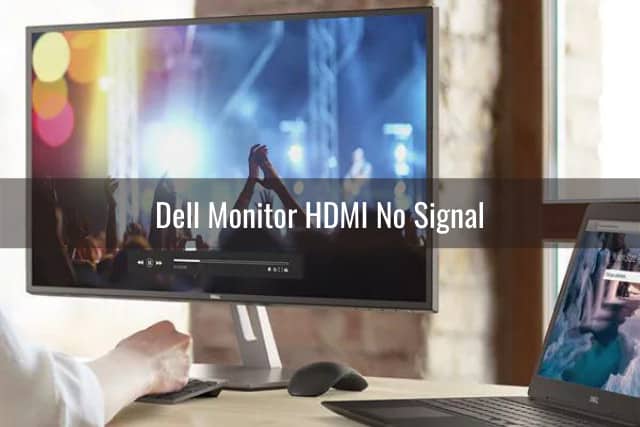 Dell Monitor HDMI Not Working - Ready To DIY