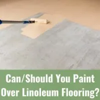 Painting the floor over the vinyl