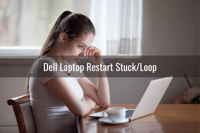 Dell Laptop Keeps Restarting - Ready To DIY