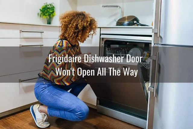 Woman putting plates in the dishwasher