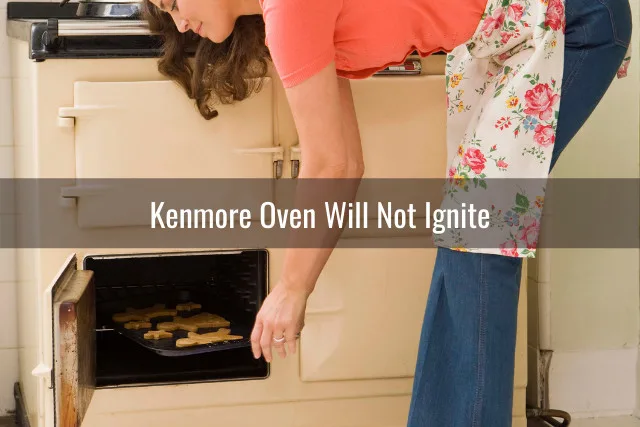 Woman putting food inside the oven