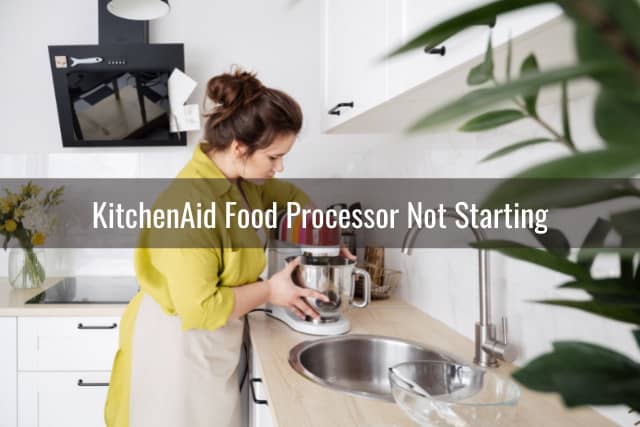 Woman using food processor in the kitchen