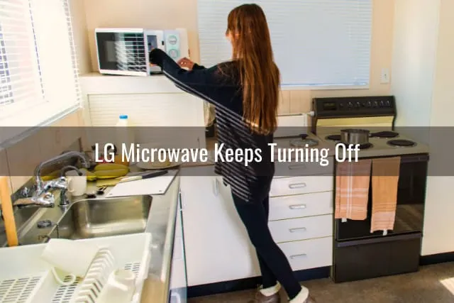 Woman putting food inside the microwave