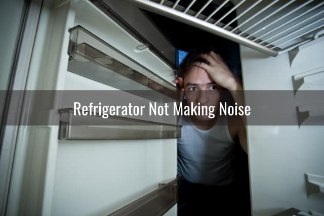 Man confused while looking at the refrigerator