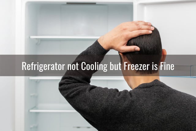 Man checking the refrigerator