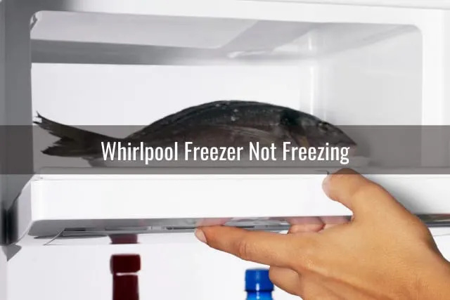 Removing ice in the refrigerator