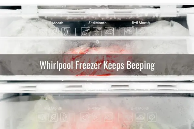 Frozen foods in the refrigerator